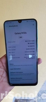 Samsung Galaxy M30s